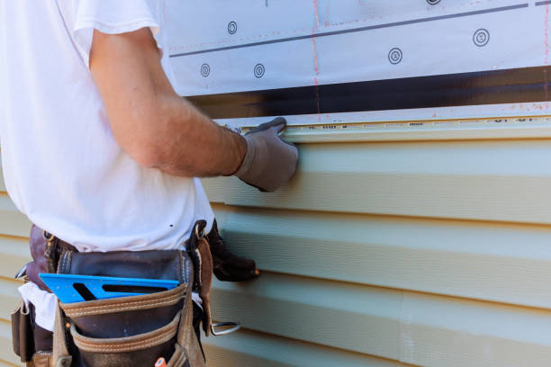 Affordable Vinyl Siding solutions in Pine Meadow, CT